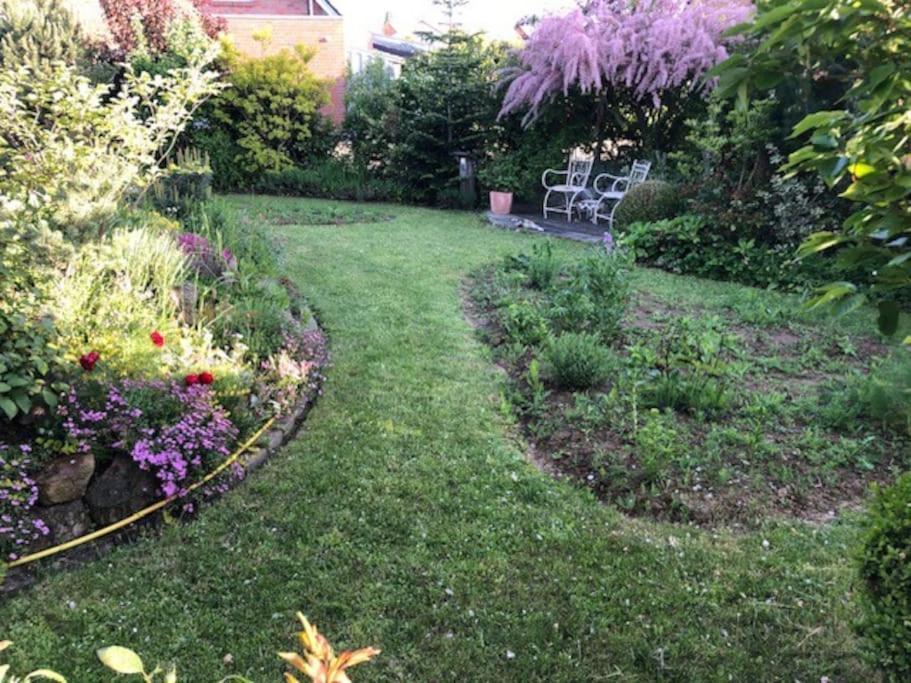 Ferienwohnung Laendlichmodern, Barrierefrei Bad Nenndorf Esterno foto